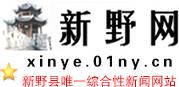 新野网